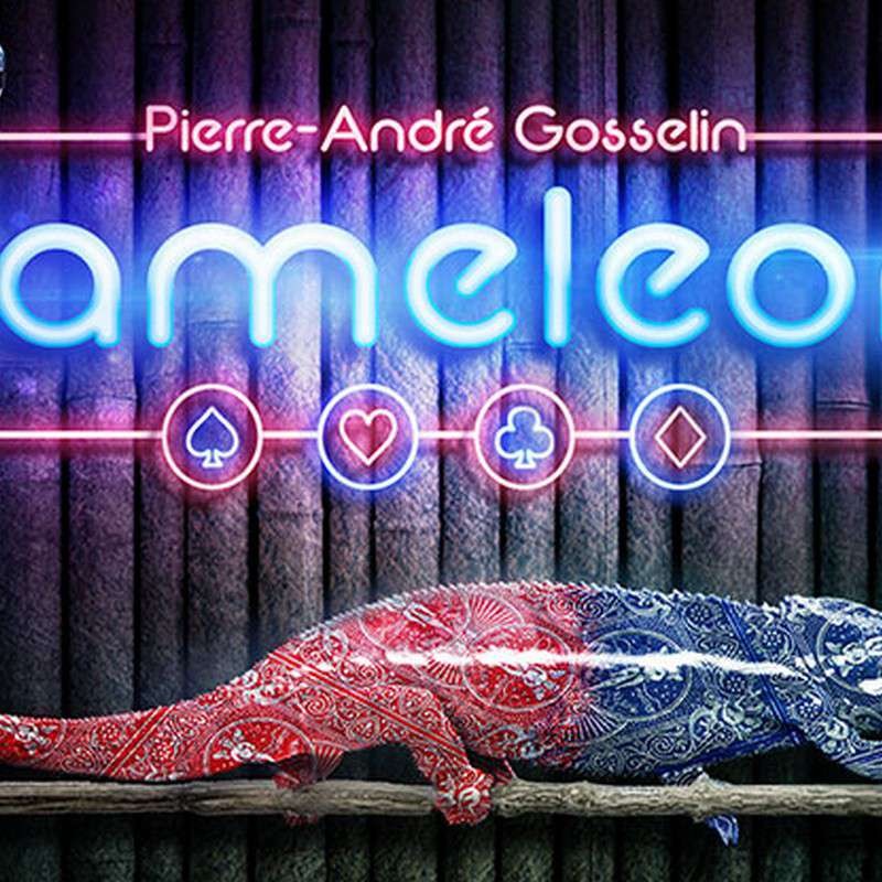 The Kameleon by Pierre-André Gosselin