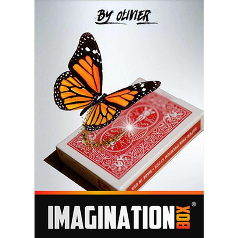 Imagination Box - Olivier Pont