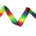 Multicolor Silk Streamer - 5,5 x 100 cm
