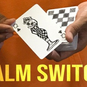 Card Magic and Trick Decks Magic Encarta Presents Palm Switch & Palm Control by Vivek Singhi MMSMEDIA - 1