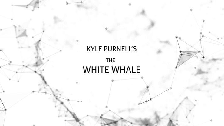 Close Up Performer The White Whale by Kyle Purnell video DOWNLOAD MMSMEDIA - 2