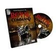 DVD – Comando Real - Nick Langham