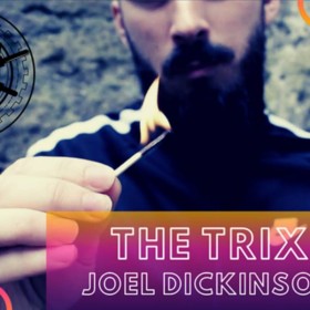 The Vault - The Trix by Joel Dickinson video DESCARGA