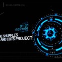 The Vault - The False Shuffles and Cuts Project by Liam Montier and Big Blind Media video DOWNLOAD