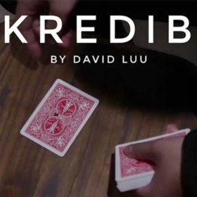 INKredible by David Luu video DESCARGA