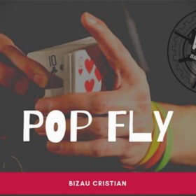 The Vault - Pop Fly by Bizau Cristian video DESCARGA