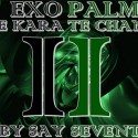 EXOPALM THE KARATE CHANGE by SaysevenT video DESCARGA