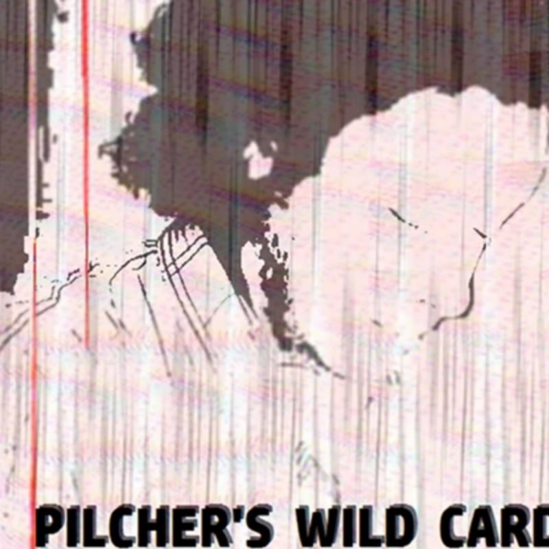 Pilcher's Wild Card by Matt Pilcher video DESCARGA