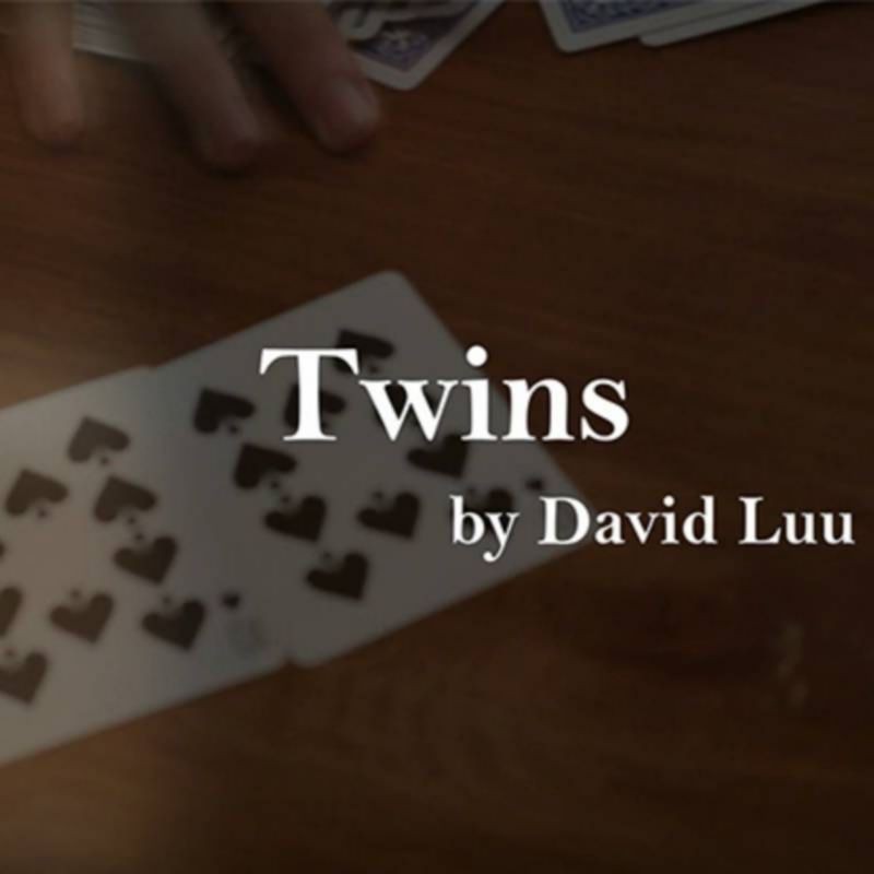 Twins by David Luu video DESCARGA