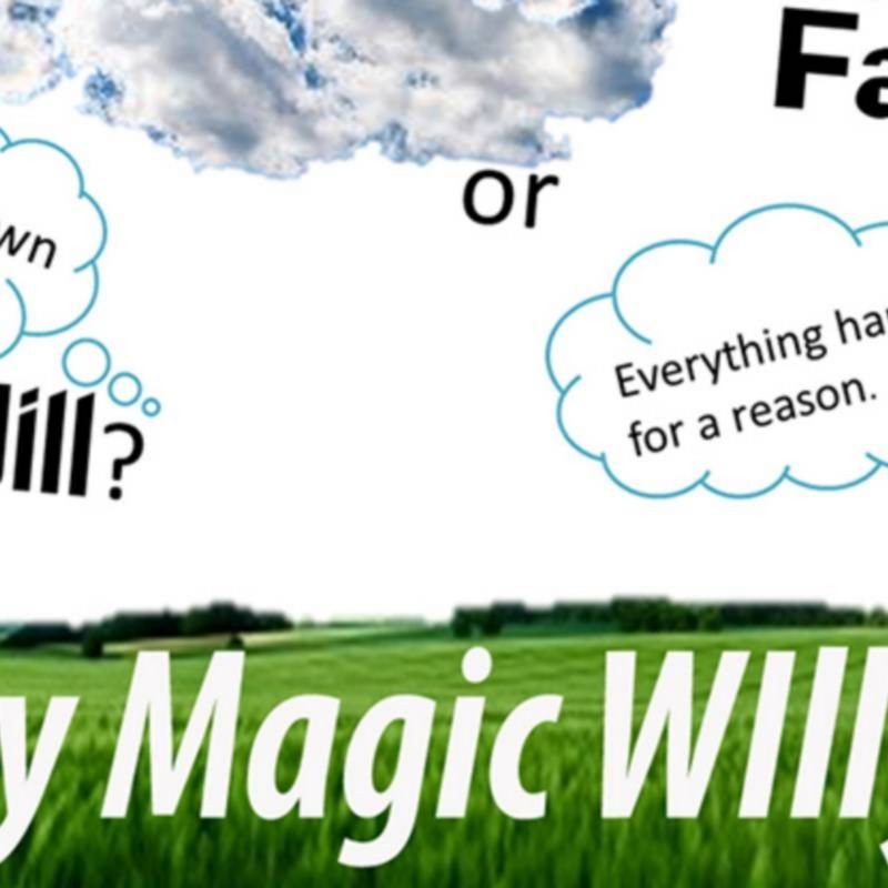 Fate or Free Will? by Magic Willy (Luigi Boscia) video DESCARGA