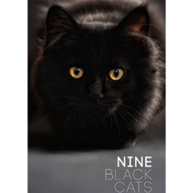 Nine Black Cats by Neema Atri eBook DESCARGA