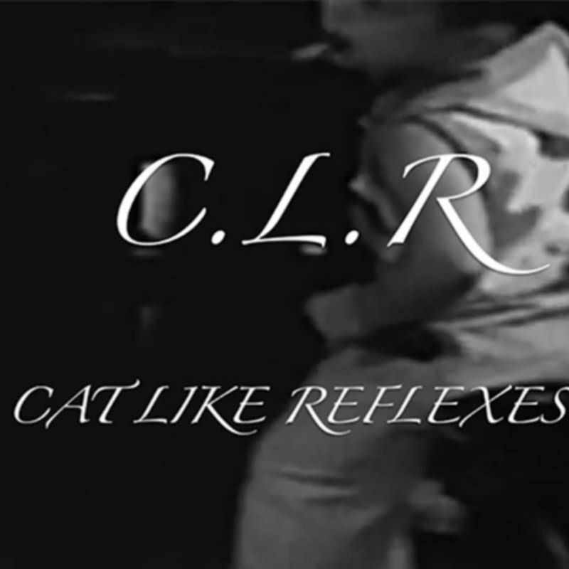 CLR by Dan Hauss video DESCARGA