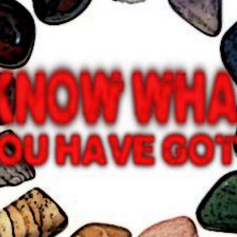 I know what you have got by Dan Alex eBook