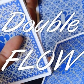 Magic Encarta Presents Double F.L.O.W by Vivek Singhi video DOWNLOAD