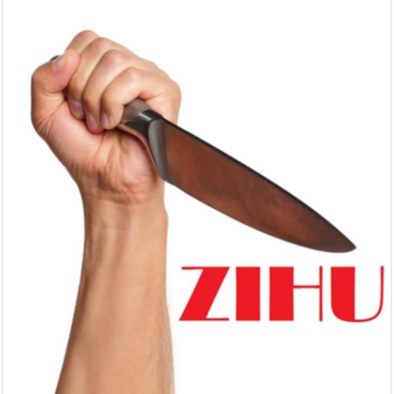 Stab by Zihu - Video DESCARGA