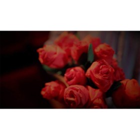 The Saint-Exerpury Rose by Vincent Mendoza & Lost Art Magic - Video DOWNLOA