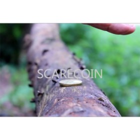 Scare Coin by Arnel Renegado - Video DESCARGA