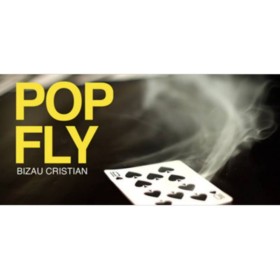 Pop Fly by Bizau Cristian video DESCARGA