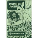 Close Up A-Ginn by David Ginn - eBook DESCARGA