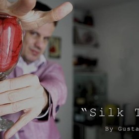 Descargas Magia para niños y Globoflexia Silk Trip by Gustavo Raley video DESCARGA MMSMEDIA - 1