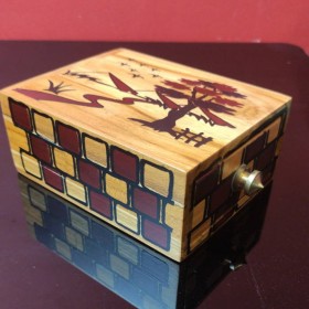 Beginners Magic Pop Lock Box TiendaMagia - 1