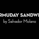 Card Magic and Trick Decks Bermuday Sandwich by Salvador Molano video DOWNLOAD MMSMEDIA - 1
