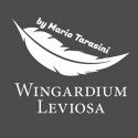 Descarga Magia con Cartas Wingardium Leviosa by Mario Tarasini video DESCARGA MMSMEDIA - 1