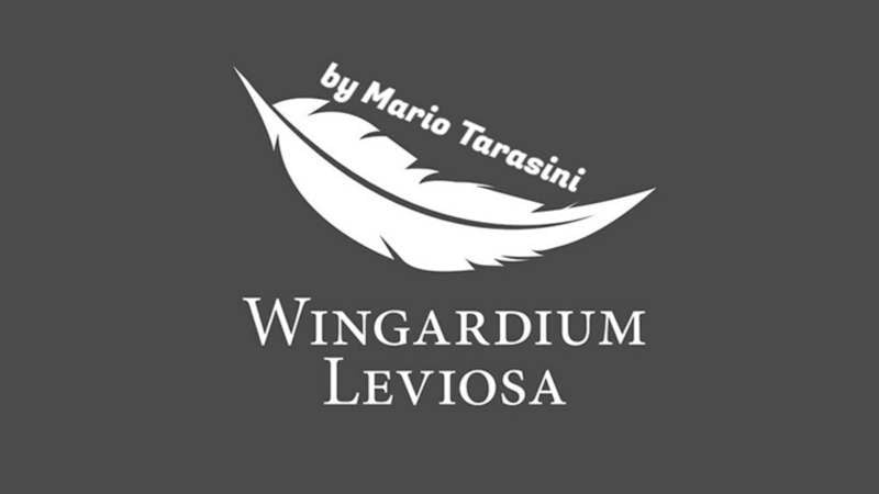 Card Magic and Trick Decks Wingardium Leviosa by Mario Tarasini video DOWNLOAD MMSMEDIA - 1