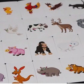 Magia Infantil Animal Card Deck TiendaMagia - 1