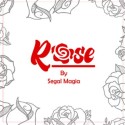 Rose by Segal Magia Mixed Media DOWNLOAD MMSMEDIA - 2