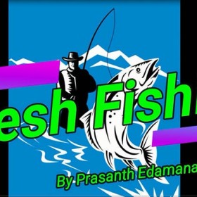 Descarga Magia con Cartas Fresh Fishing by Prasanth Edamana vídeo DESCARGA MMSMEDIA - 1