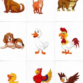 Magia Infantil Animal Card Deck TiendaMagia - 2