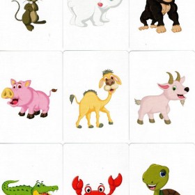 Magia Infantil Animal Card Deck TiendaMagia - 6