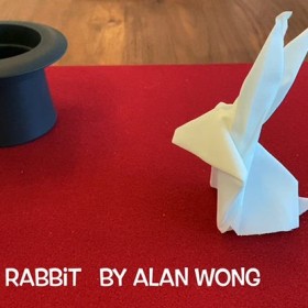 Close Up Origami Rabbit by Alan Wong Alan Wong - 2