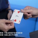 Card Tricks Shadow by Alex, Wenzi and MS Magic TiendaMagia - 5
