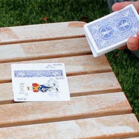 Card Tricks Changeling by Peter Eggink TiendaMagia - 3
