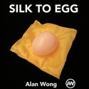 Parlor Magic Silk To Egg (Brown/with Yellow silk) by Alan Wong Alan Wong - 1