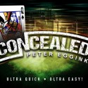 Concealed by Peter Eggink TiendaMagia - 1