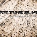 Fortune Silver by Alessandro Criscione video DOWNLOAD 