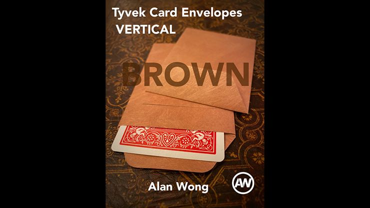 Tyvek VERTICAL Envelopes BROWN by Alan Wong 