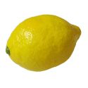 Super Real Latex Lemon 