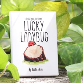 Lucky Ladybug - Joshua Ray and Deuce Gala Magic 