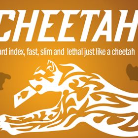 Cheetah - Berman Dabat y Michel 
