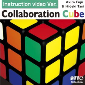Collaboration Cube - Akira Fujii & Hideki Tani 