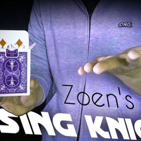 The Vault - Rising Knight by Zoens video DOWNLOAD 