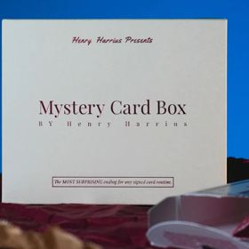 Mystery Box Bicycle - Henry Harrius 