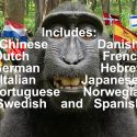 100th Monkey Multi-Language - Chris Philpott 