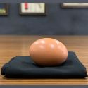 Egg Bag - Black - Bacon Magic 