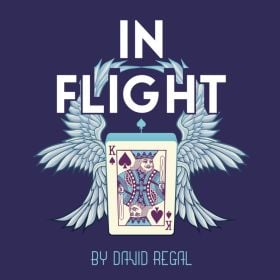 In Flight - David Regal 