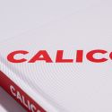 Calico - Rick Holcombe 